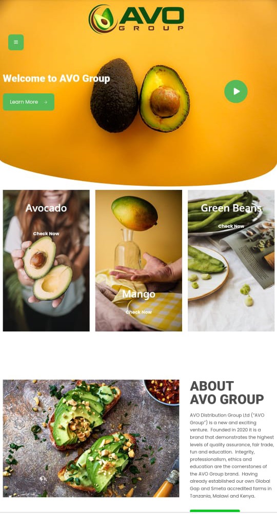 Avo Group