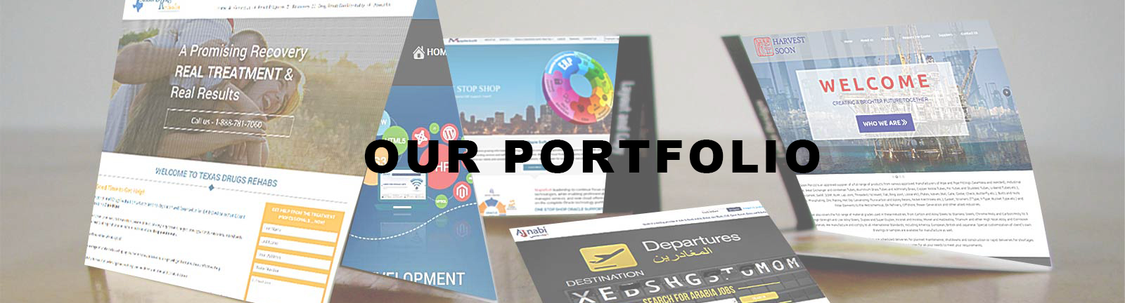 Our Portfolio